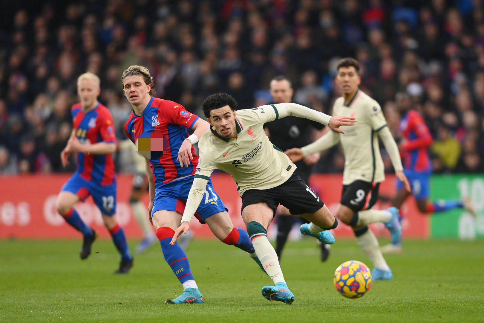 勇士再也不 勇士再也不