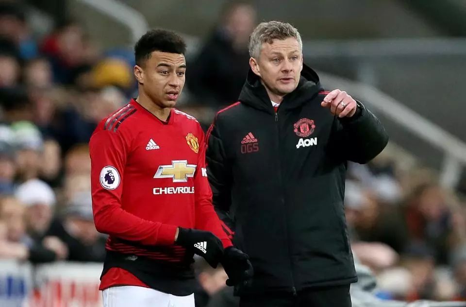 两翼齐飞 两翼齐飞